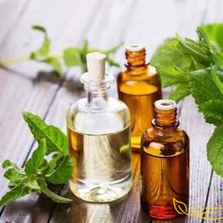 Tinh dầu BẠC HÀ Thiên Nhiên  10ml hỗ trợ khử mùi và đuổi muỗi phòng bệnh