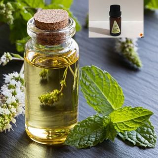 Tinh dầu quế 10ml AP79