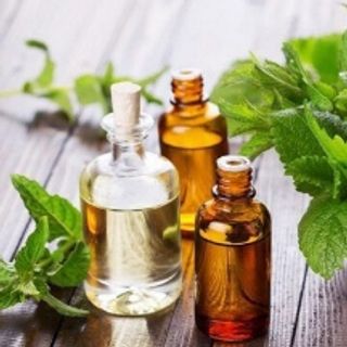 Tinh dầu quế 10ml AP79