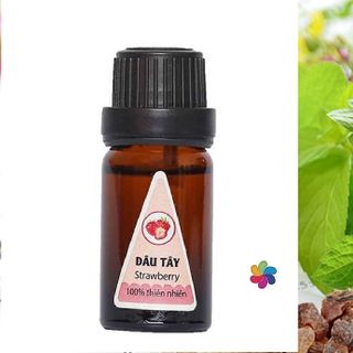 Tinh dầu tự nhiên 100% với 20 mùi vị khác nhau loại 10ml