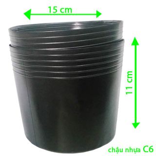 1.000 sỉ Chậu nhựa trồng cây C6 15x11x11 trồng cây và ươm cây gióng-77100 giá sỉ