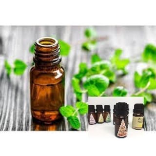 Tinh dầu bạc hà 10ml AP84