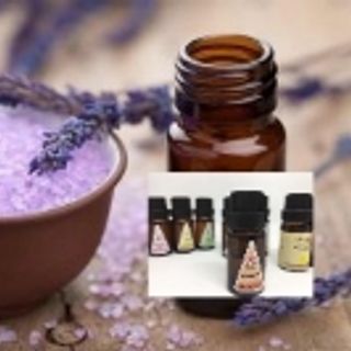 Tinh dầu bạc hà 10ml AP84