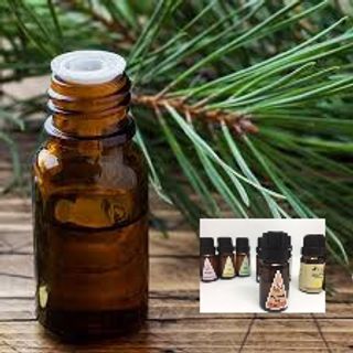 Tinh dầu bạc hà 10ml AP84