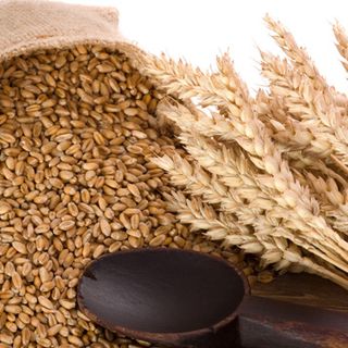 Yến mạch Oat tách vỏ nguyên hạt