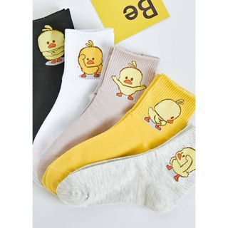 Combo 05 tất ngắn cổ hình vịt