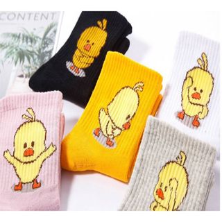 Combo 05 tất ngắn cổ hình vịt