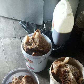 Mật ong rừng U Minh nguyên chất