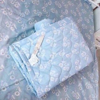 Chăn Hè Chần Bông Cotton Poly