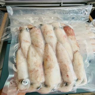Mực Ống Tươi Quảng Nam