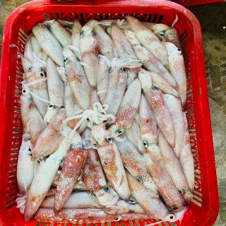 Mực Hấp Quảng Nam