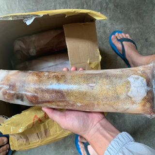 Mực Lá Tươi Quảng Nam