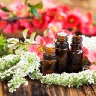 Tinh dầu hoa oải hương lọ 10ml AP88