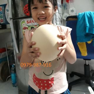 Trứng Đà Điểu
