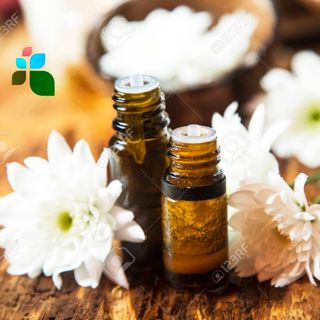 Tinh dầu bạc hà lọ 10ml AP92