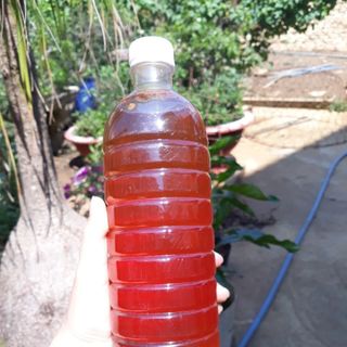 Mật ông cafe Lâm Đồng