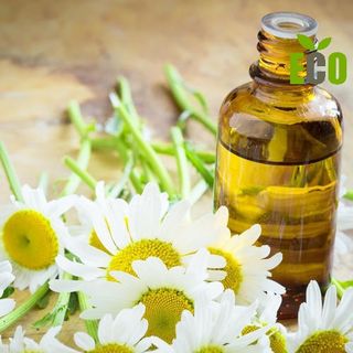 Tinh dầu trầm hương lọ 5ml AP90