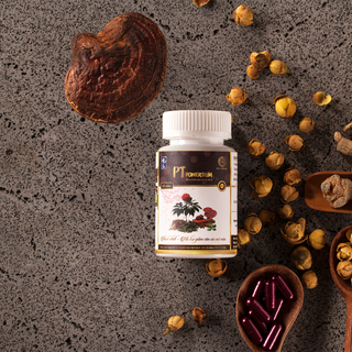 Viên Đốt Cháy Mỡ Phạm Gia Gold 3+ (45 Viên)