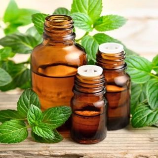 Tinh dầu bạc hà lọ 10ml AP92