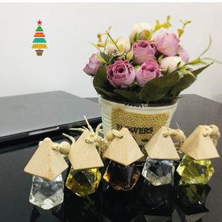 Tinh dầu bạc hà lọ treo AP93
