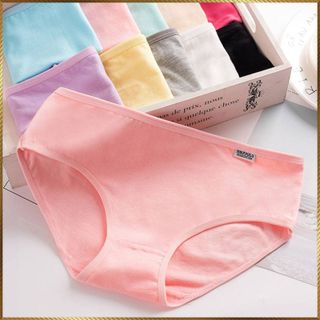 Combo 10 quần lót cotton trơn