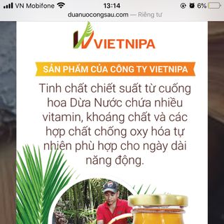 Mật dừa nước chai 250ml