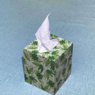 Khăn giấy Tissue hộp vuông (Hộp 100 tờ) giá sỉ