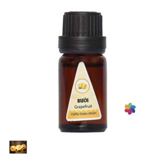 Sỉ tinh dầu xông phòng loại 5ml giá siêu rẻ giá sỉ