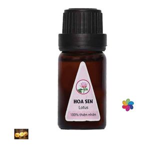Sỉ tinh dầu xông phòng loại 5ml giá siêu rẻ