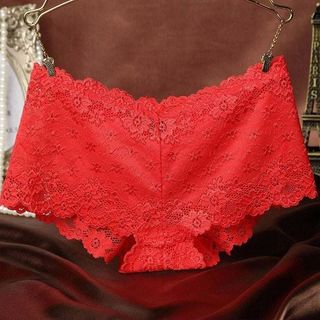 Bộ 05 Quần Lót Ren Silk Dạng Đùi