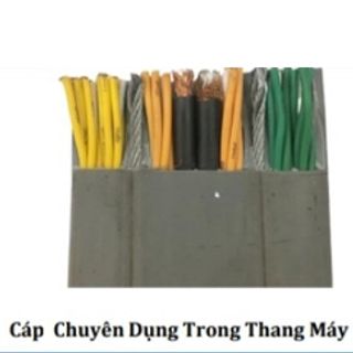 Cáp Điện và Ống Ruột Gà Lõi Thép