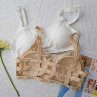 Áo bra có đệm ngực 3 dây lưng