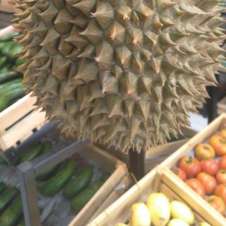 Sầu riêng Monthong Thái