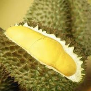 Sầu riêng Monthong Thái