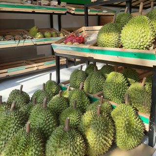Sầu riêng R6 Cai Lậy