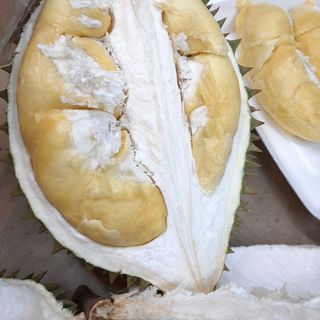 Sầu riêng R6 Cai Lậy