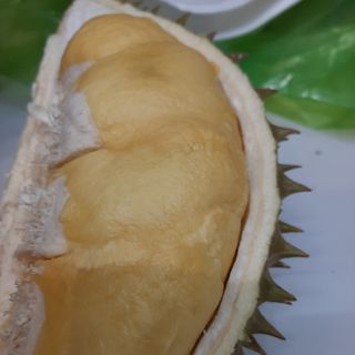 Sầu riêng R6 Cai Lậy