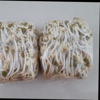 Giá gói sạch, công nghệ Nhật. Chứng nhận VIETGAP