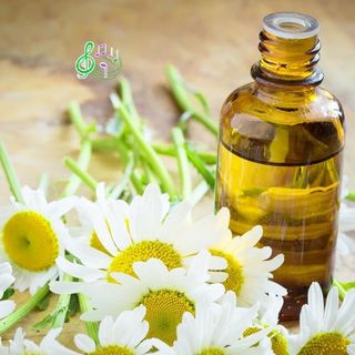 Tinh dầu cà phê lọ 10ml AP96