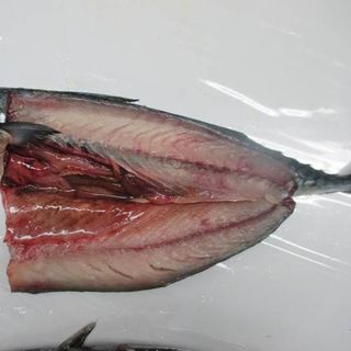 Cá saba đông lạnh nguyên con Nhật Bản