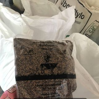 Hạt giống cỏ Stylo