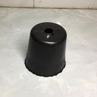 5.000 Chậu nhựa ươm cây C3 8x6.5x8.5 nhựa pe dẻo bền -77200