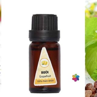 Tinh dầu thiên nhiên | 20 mùi tự chọn I Diệt muỗi và côn trùng I Thông Thoáng Nhà Cửa I Hỗ Trợ Làm Đẹp