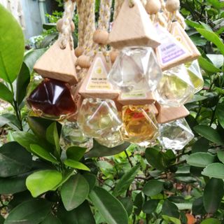 Tinh dầu thiên nhiên | 20 mùi tự chọn I Diệt muỗi và côn trùng I Thông Thoáng Nhà Cửa I Hỗ Trợ Làm Đẹp