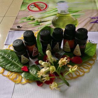 Tinh dầu thiên nhiên | 20 Mùi Tự Chọn| Hàng đảm bảo I Hoàn Tiền Nếu Không Hài Lòng Về