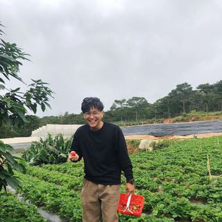 Dâu Tây Đà Lạt