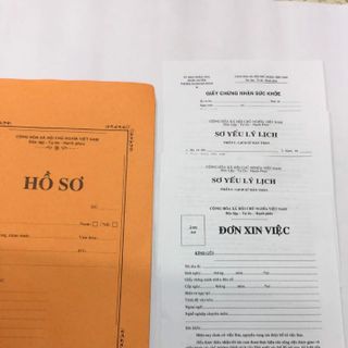 Hồ sơ xin việc
