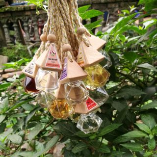 Tinh Dầu Thiên Nhiên Nguyên Chất Nhiều Mùi Thơm Phòng Giúp Bạn Thư Giãn Sảng Khoái Mỗi Ngày