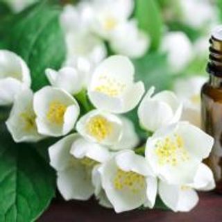 Tinh Dầu Thiên Nhiên Nguyên Chất Nhiều Mùi Thơm Phòng Giúp Bạn Thư Giãn Sảng Khoái Mỗi Ngày