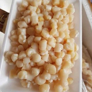 Cồi sò điệp